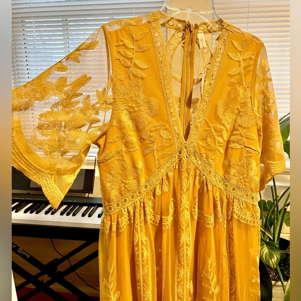 Pink Blush Marigold Lace Maxi Dress - Picture 2 of 7